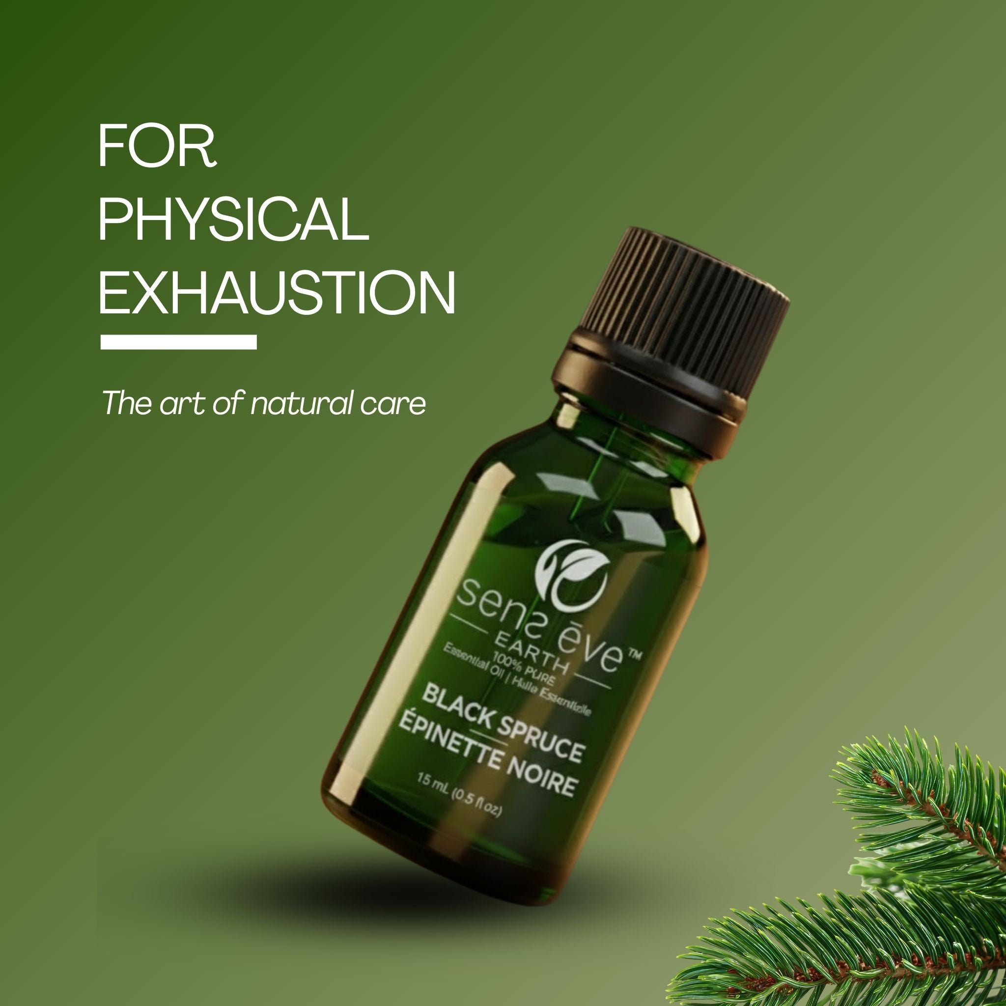 زيت عطري طبيعي ونقي ١٠٠٪ من شجرة التنوب الأسود (Picea mariana) - ١٥ مل