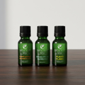 Le Trio Harmonie : Eucalyptus, Orange & Ylang Ylang