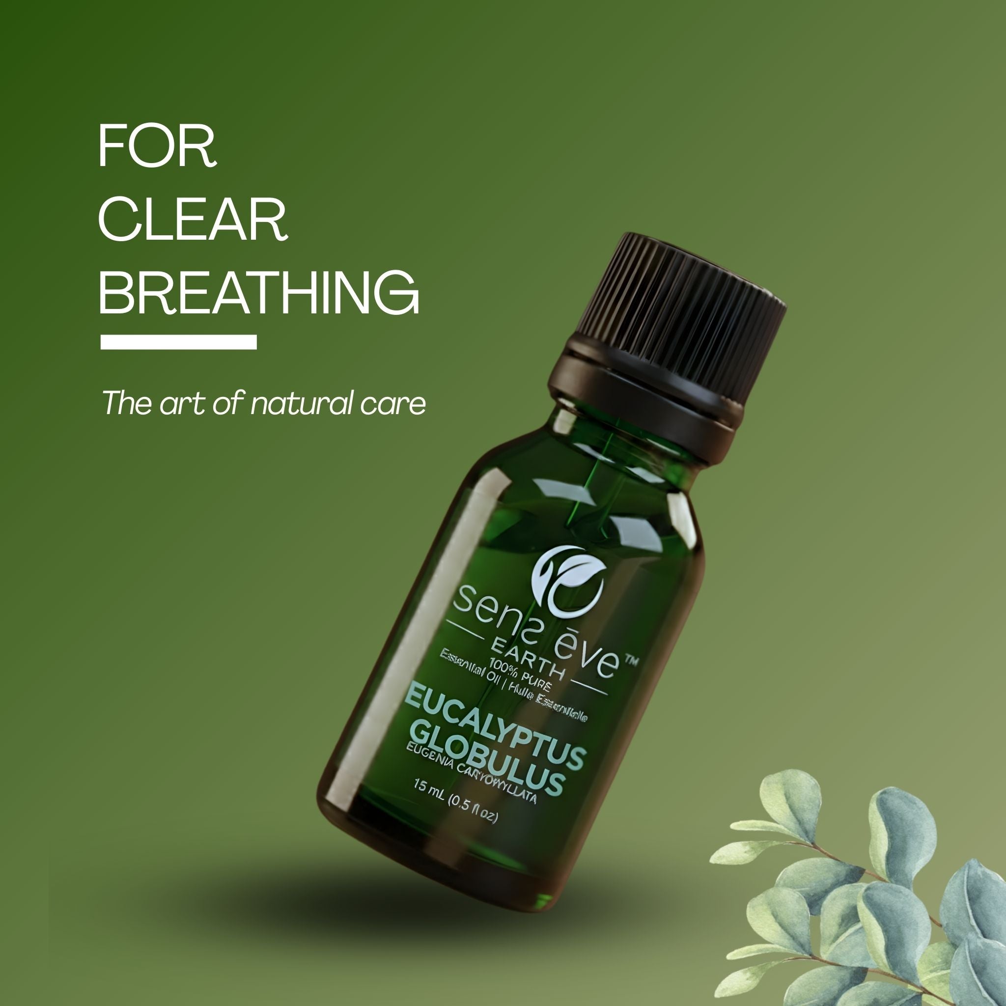 EUCALYPTUS GLOBULUS (Eucalyptus Globulus) Huile essentielle 100% Pure et Naturelle - 15mL