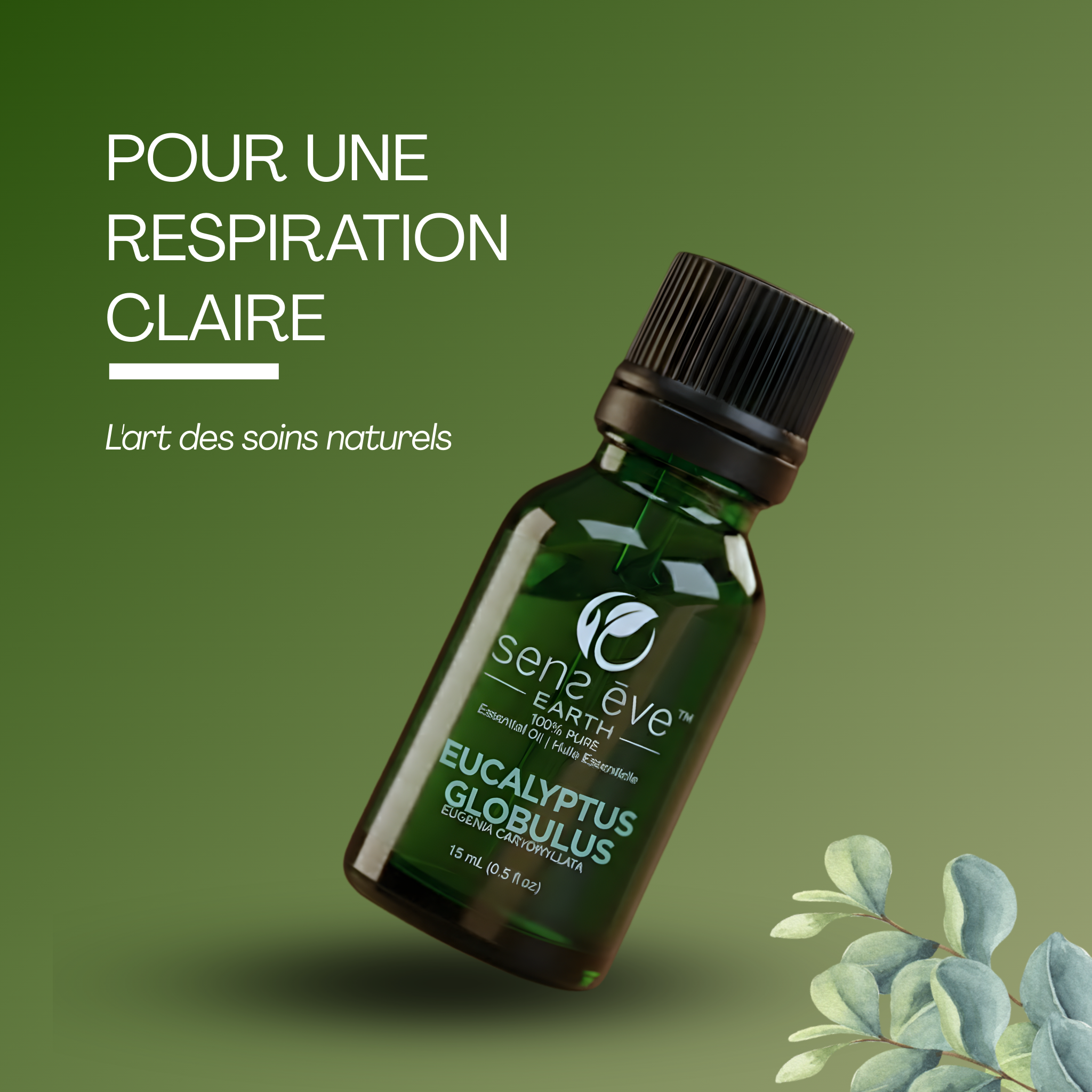 EUCALYPTUS GLOBULUS (Eucalyptus Globulus) Huile essentielle 100% Pure et Naturelle - 15mL