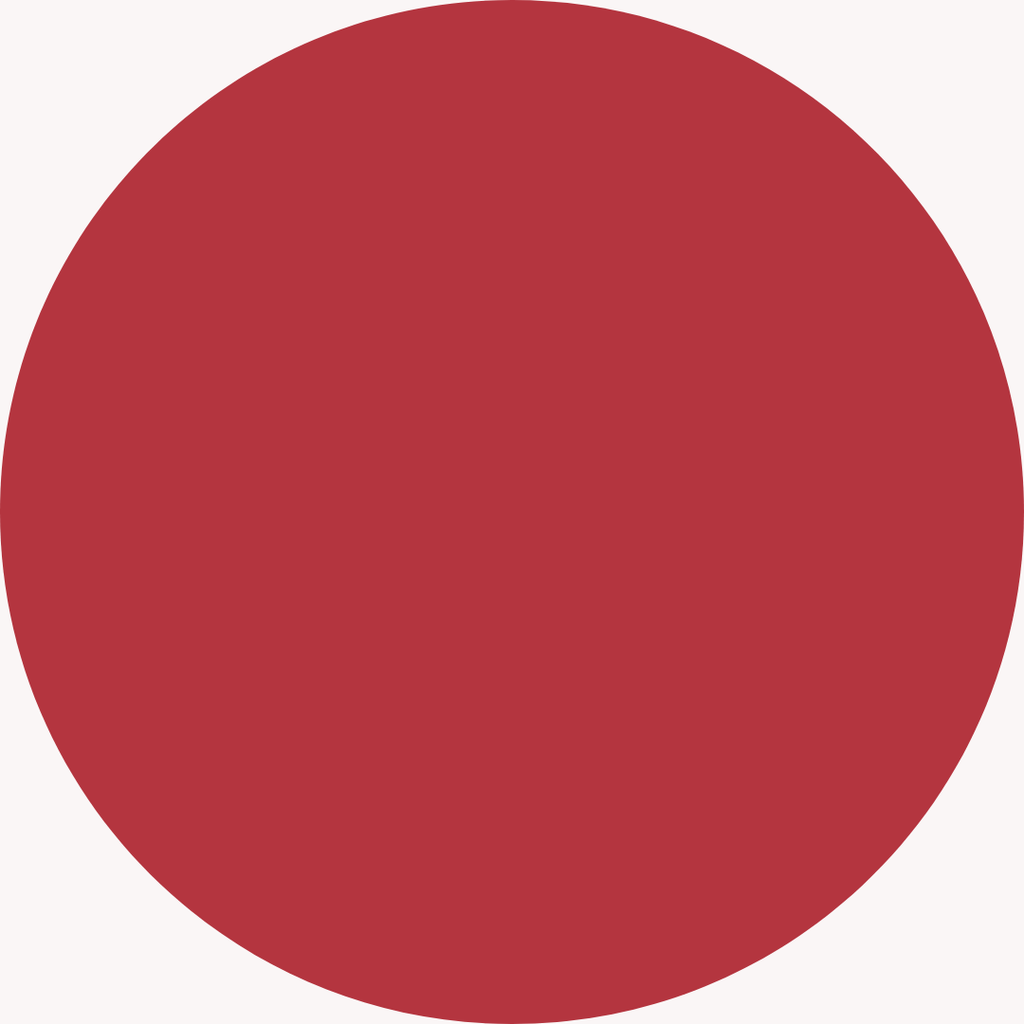 V-Kosmetik – Rouge à Lèvres Liquide Velours, Teinte Aioli