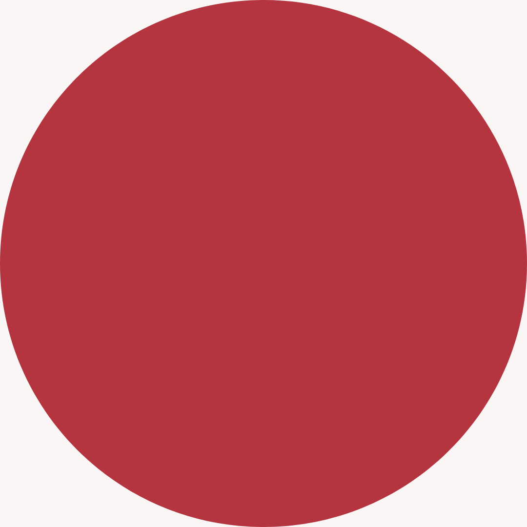 V KOSMETIK - ROUGE à  LÈVRE LIQUIDE VELOUR LONGUE DURÉE (Couleur: AIOLI)