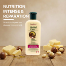 ANTI-FRIZZ SHAMPOO (Shea Butter and Macadamia Extract) - 350 mL