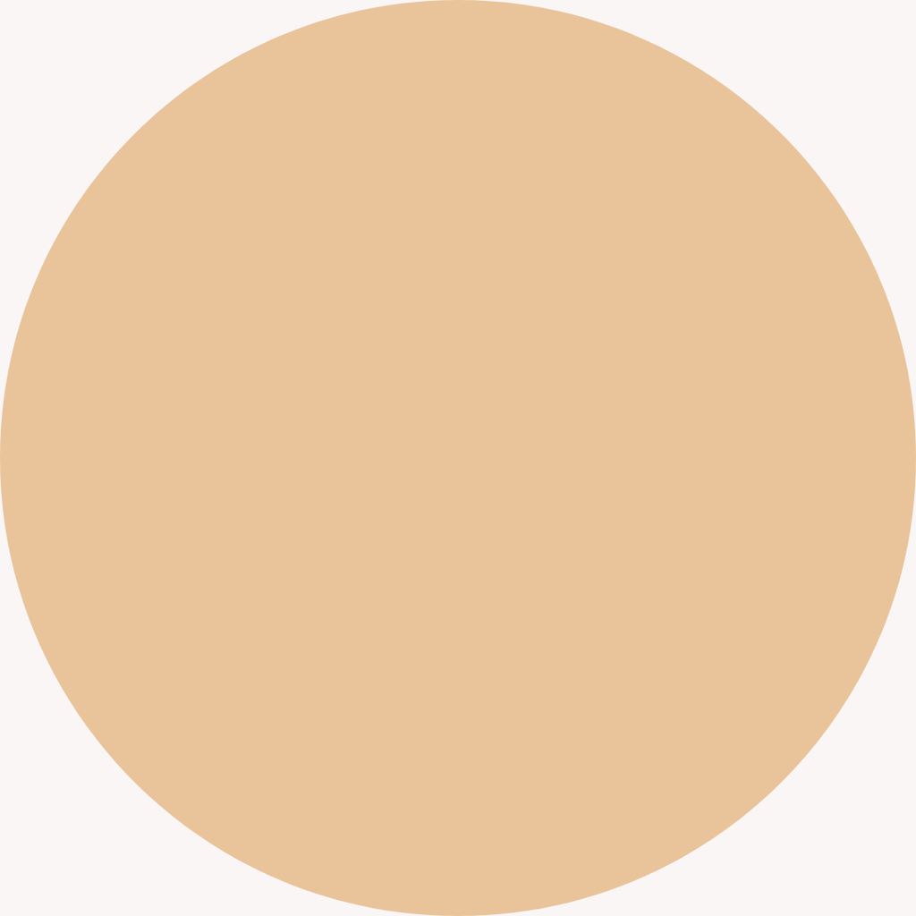 V KOSMETIK - Tinted Moisturizing BB Cream (Color: Light)