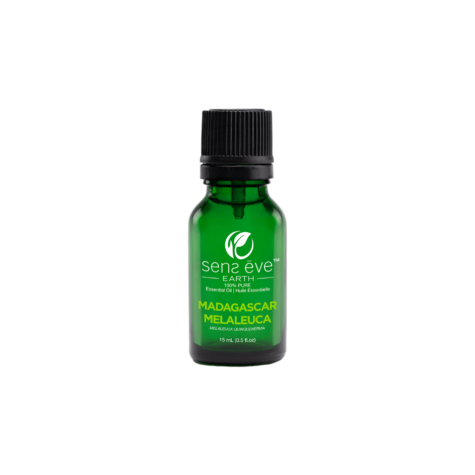 Madagascar Malaleuca (Melaleuca quinquenervia) Huile essentielle 100% Pure et Naturelle - 15mL