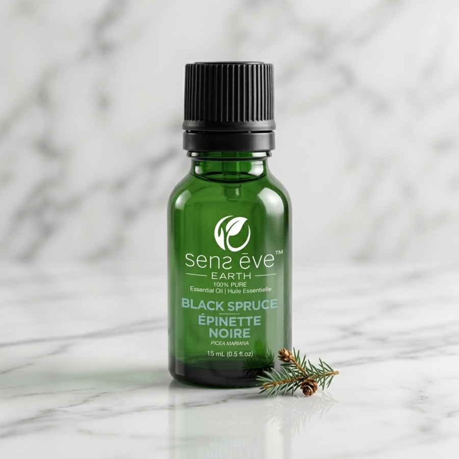 زيت عطري طبيعي ونقي ١٠٠٪ من شجرة التنوب الأسود (Picea mariana) - ١٥ مل