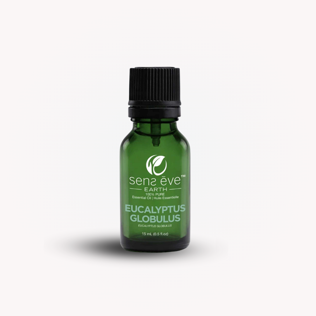 EUCALYPTUS GLOBULUS (Eucalyptus Globulus) Huile essentielle 100% Pure et Naturelle - 15mL