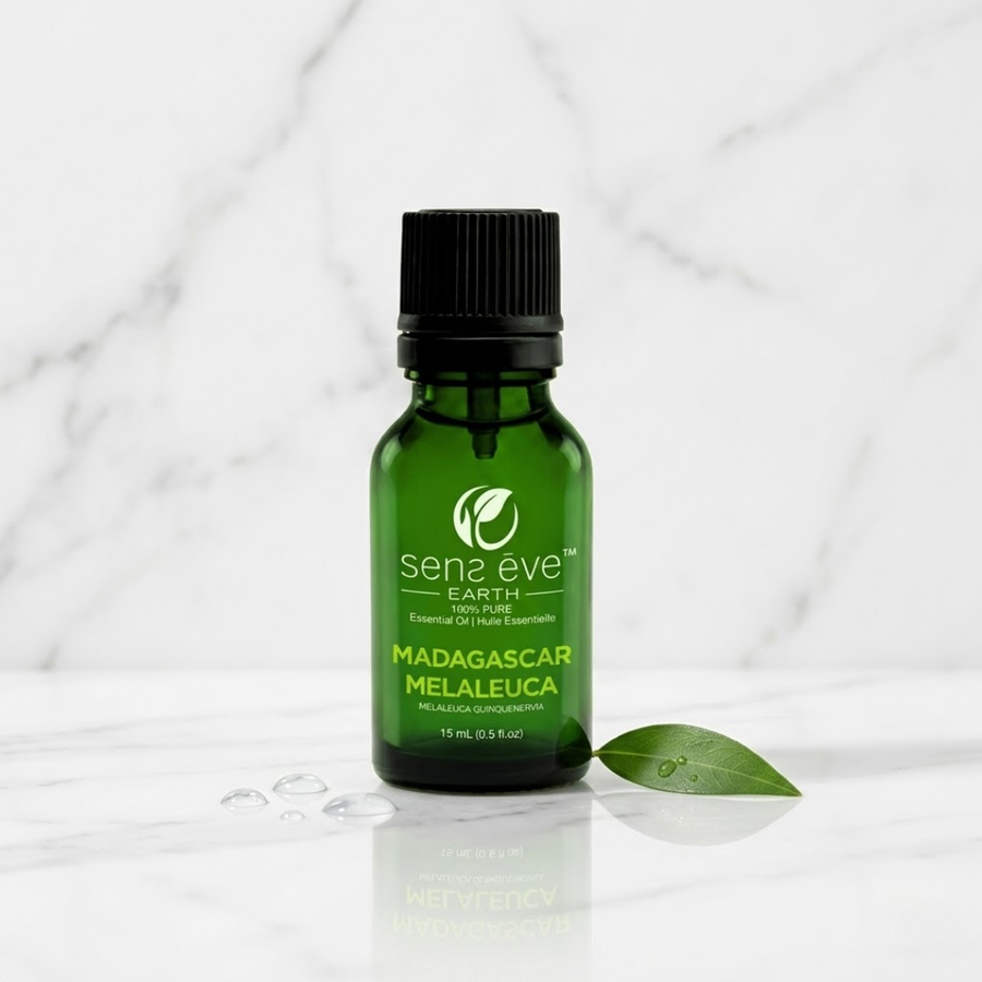 Madagascar Malaleuca (Melaleuca quinquenervia) Essential Oil 100% Pure and Natural - 15mL