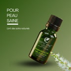 Madagascar Malaleuca (Melaleuca quinquenervia) Huile essentielle 100% Pure et Naturelle - 15mL