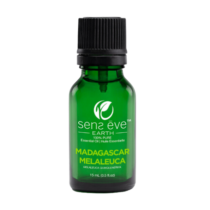 Madagascar Malaleuca (Melaleuca quinquenervia) Huile essentielle 100% Pure et Naturelle - 15mL