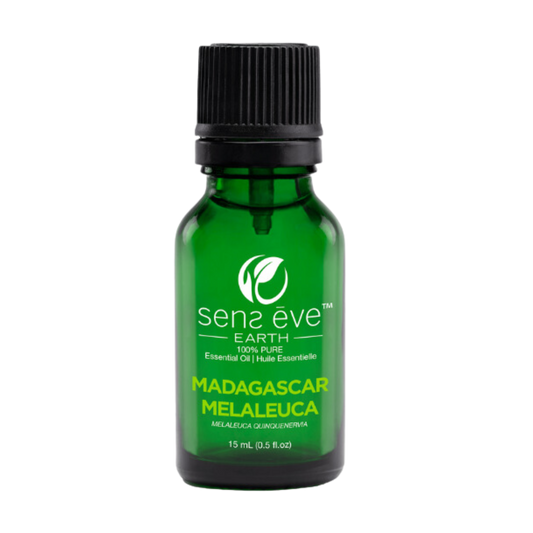 Madagascar Malaleuca (Melaleuca quinquenervia) Huile essentielle 100% Pure et Naturelle - 15mL