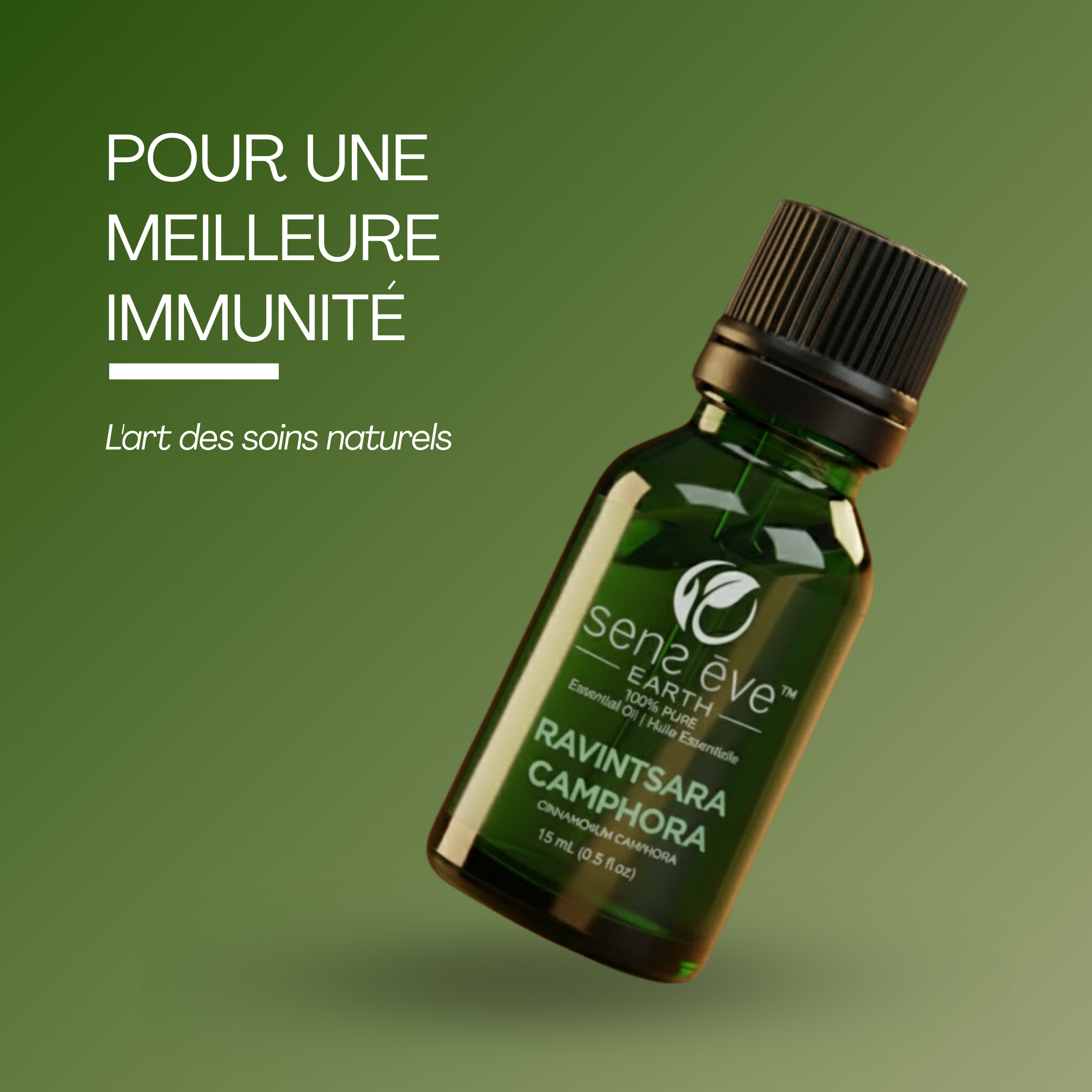 RAVINTSARA CAMPHORA (Cinnamomum camphora) Huile essentielle 100% Pure et Naturelle - 15mL